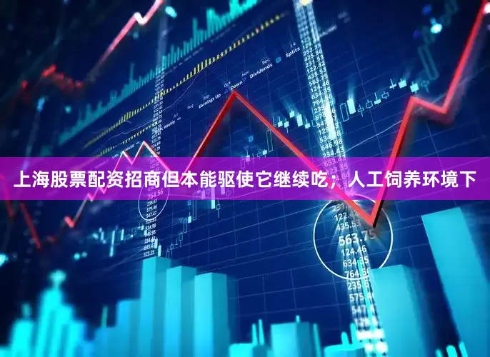 上海股票配资招商但本能驱使它继续吃；人工饲养环境下