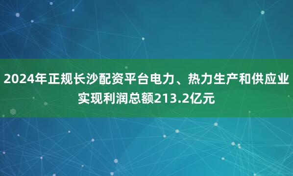 2024年正规长沙配资平台电力、热力生产和供应业实现利润总额213.2亿元