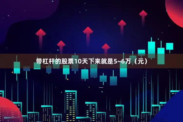 带杠杆的股票10天下来就是5~6万（元）