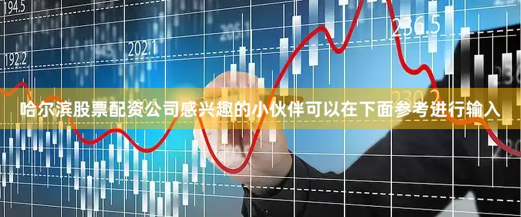 哈尔滨股票配资公司感兴趣的小伙伴可以在下面参考进行输入